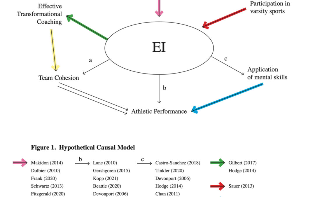 A Literature Review